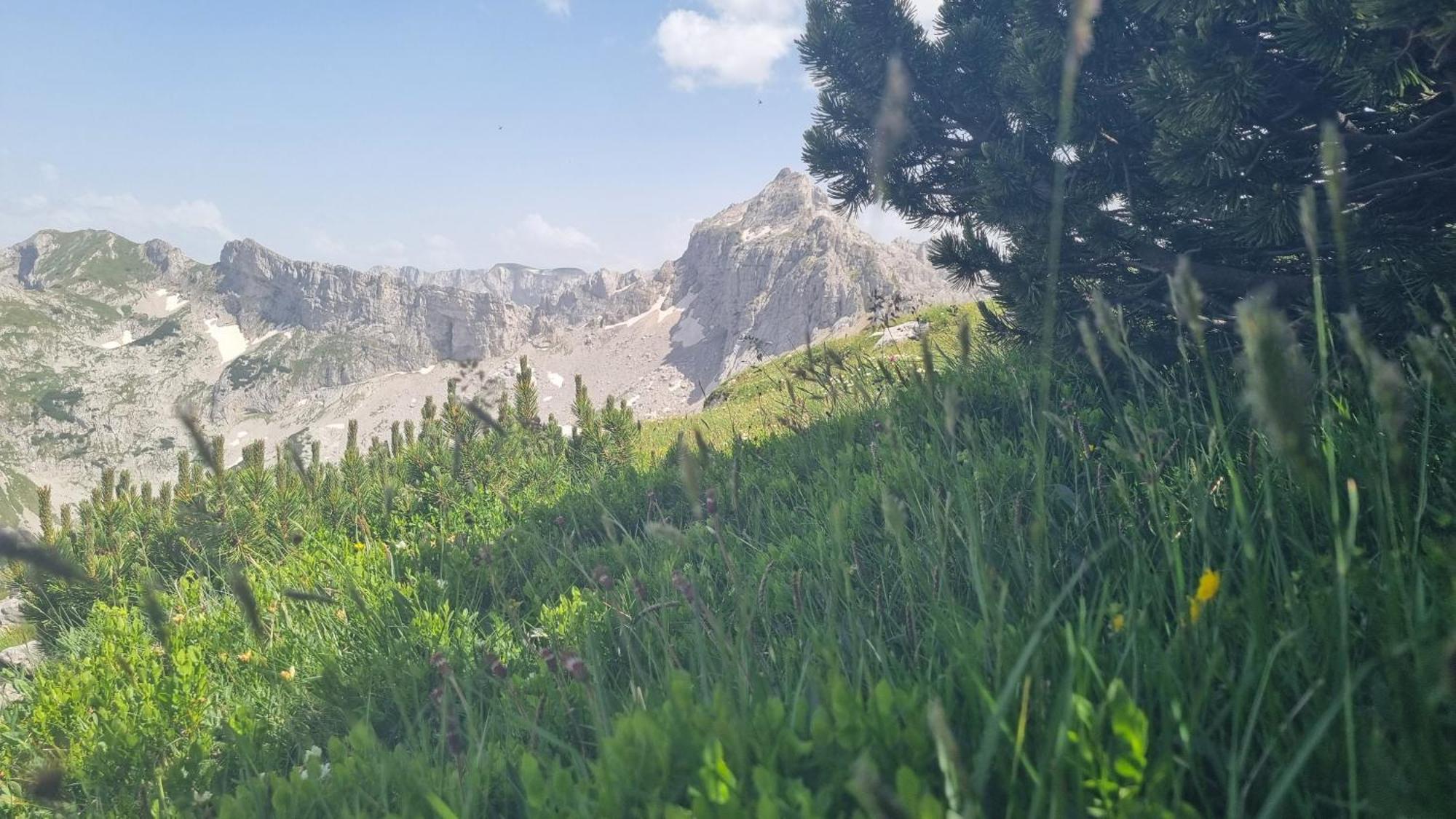 Durmitor Glamp Hotell Žabljak Eksteriør bilde